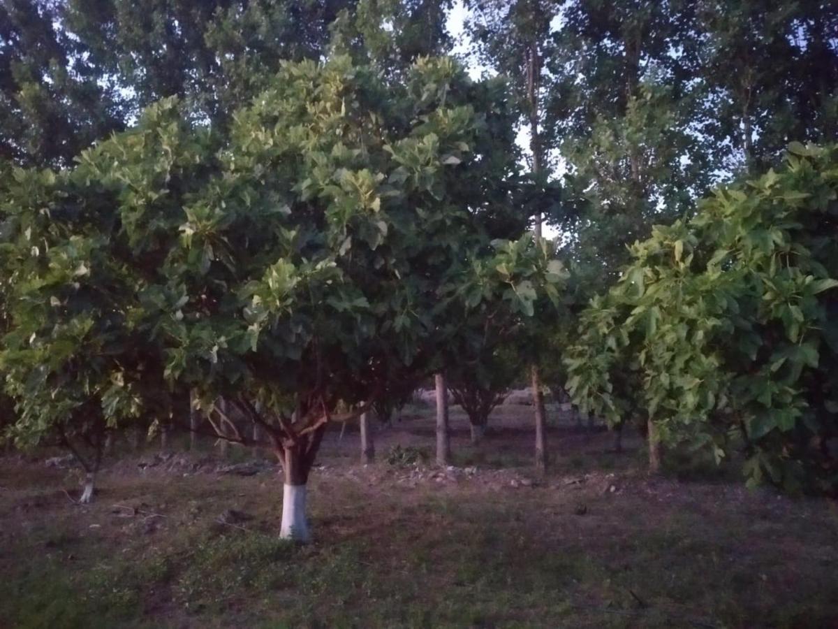 Finca La Julia Luyaba Kültér fotó