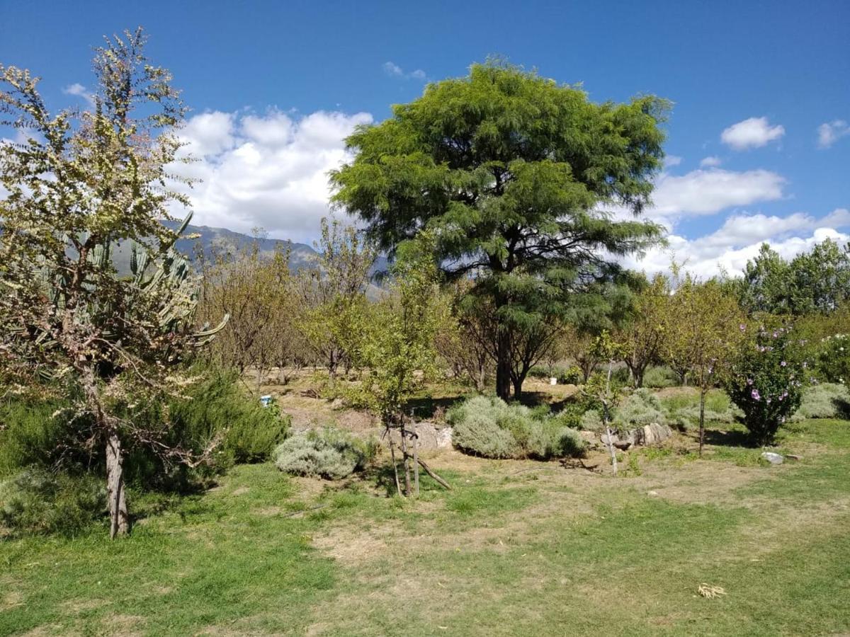 Finca La Julia Luyaba Kültér fotó