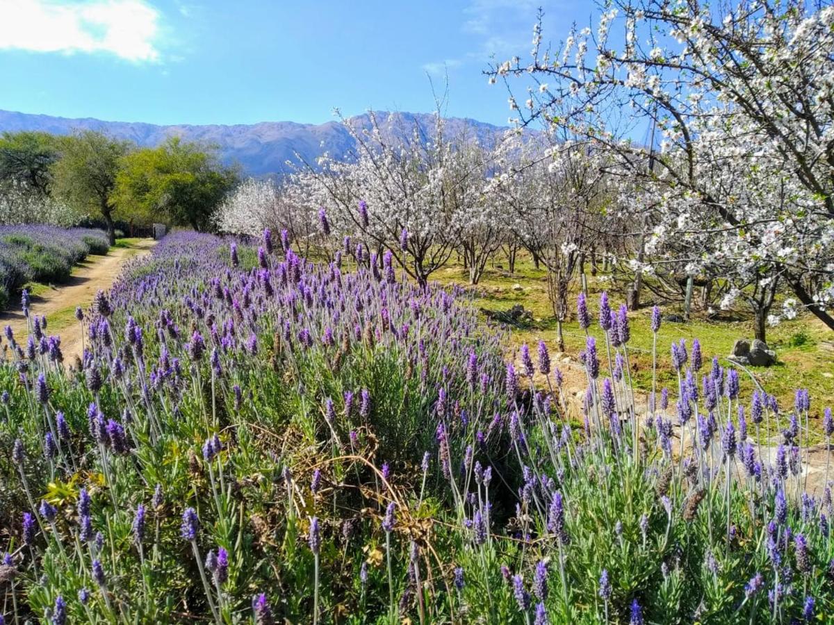 Finca La Julia Luyaba Kültér fotó