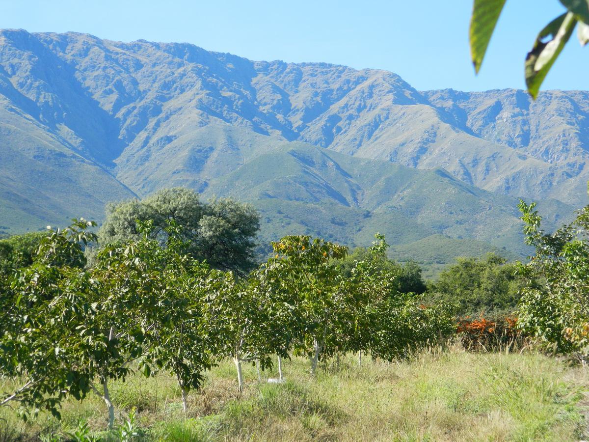Finca La Julia Luyaba Kültér fotó